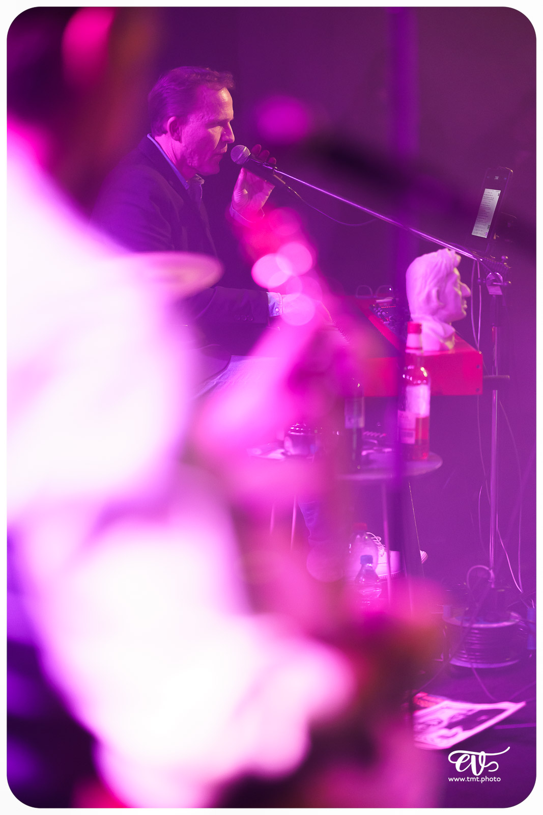 SERGE, ELEGANCE ACOUSTIQUE